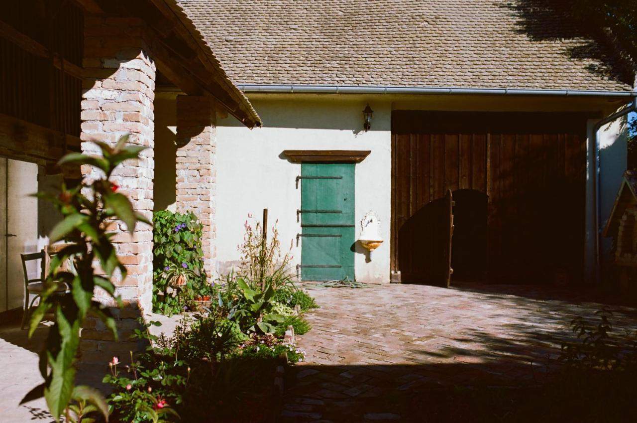 Tradicionalna Kuca Biljkinog Oca Villa Lug Exterior photo